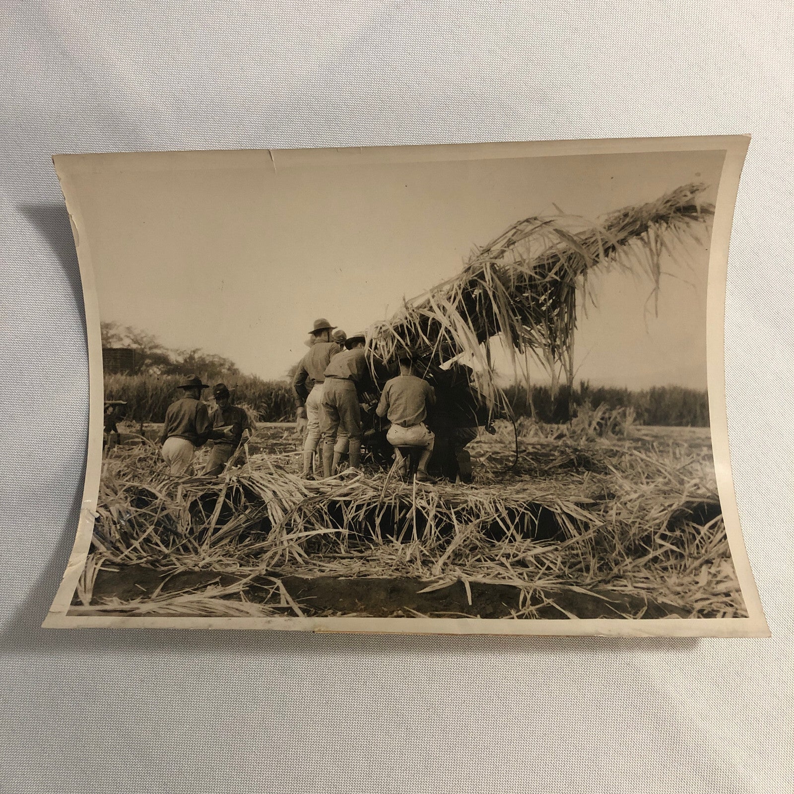 Press Photo Photograph United States Army Anti Aircraft Gun Camouflaged