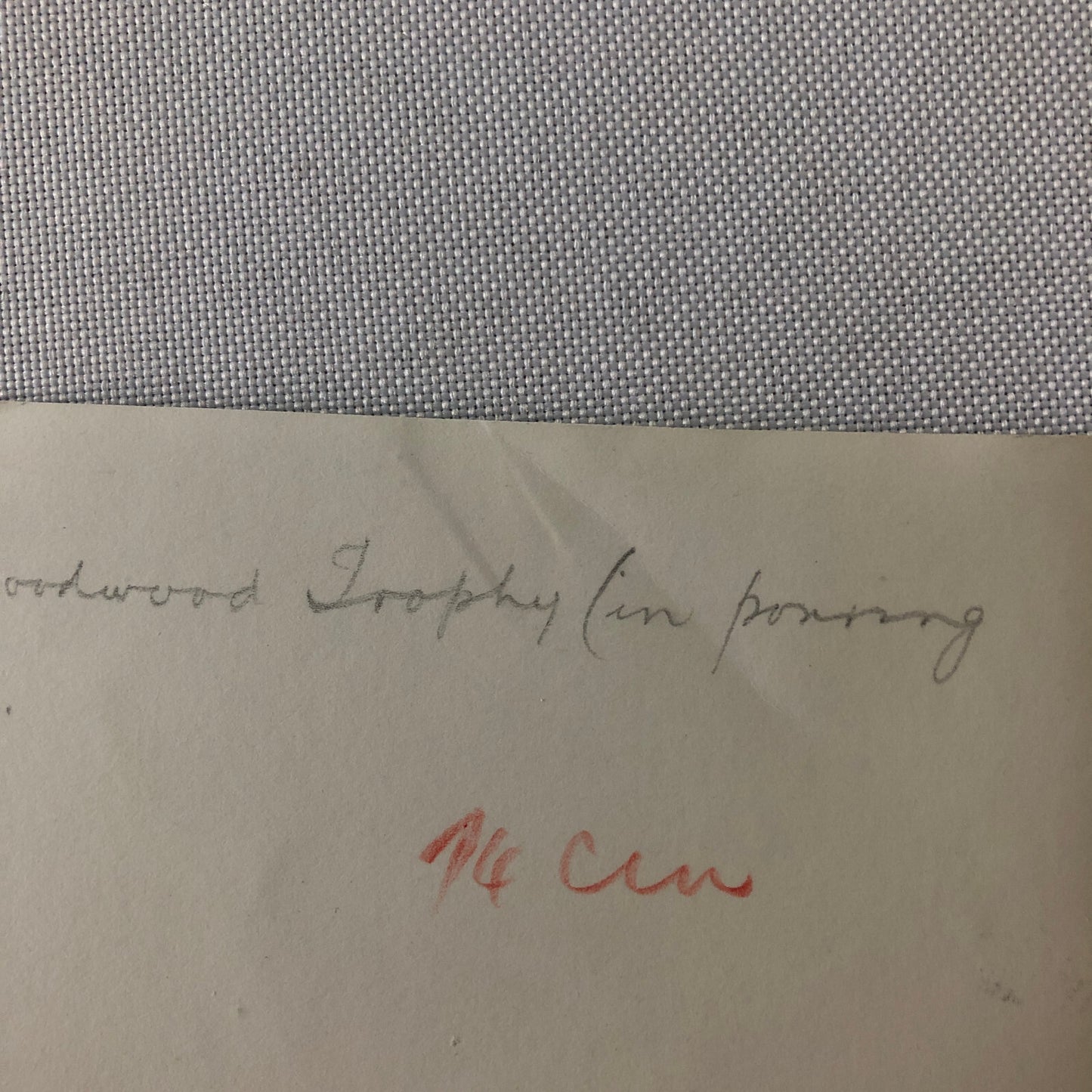 Vintage Racing Photo Photograph BRM Car at Goodwood Trophy Race