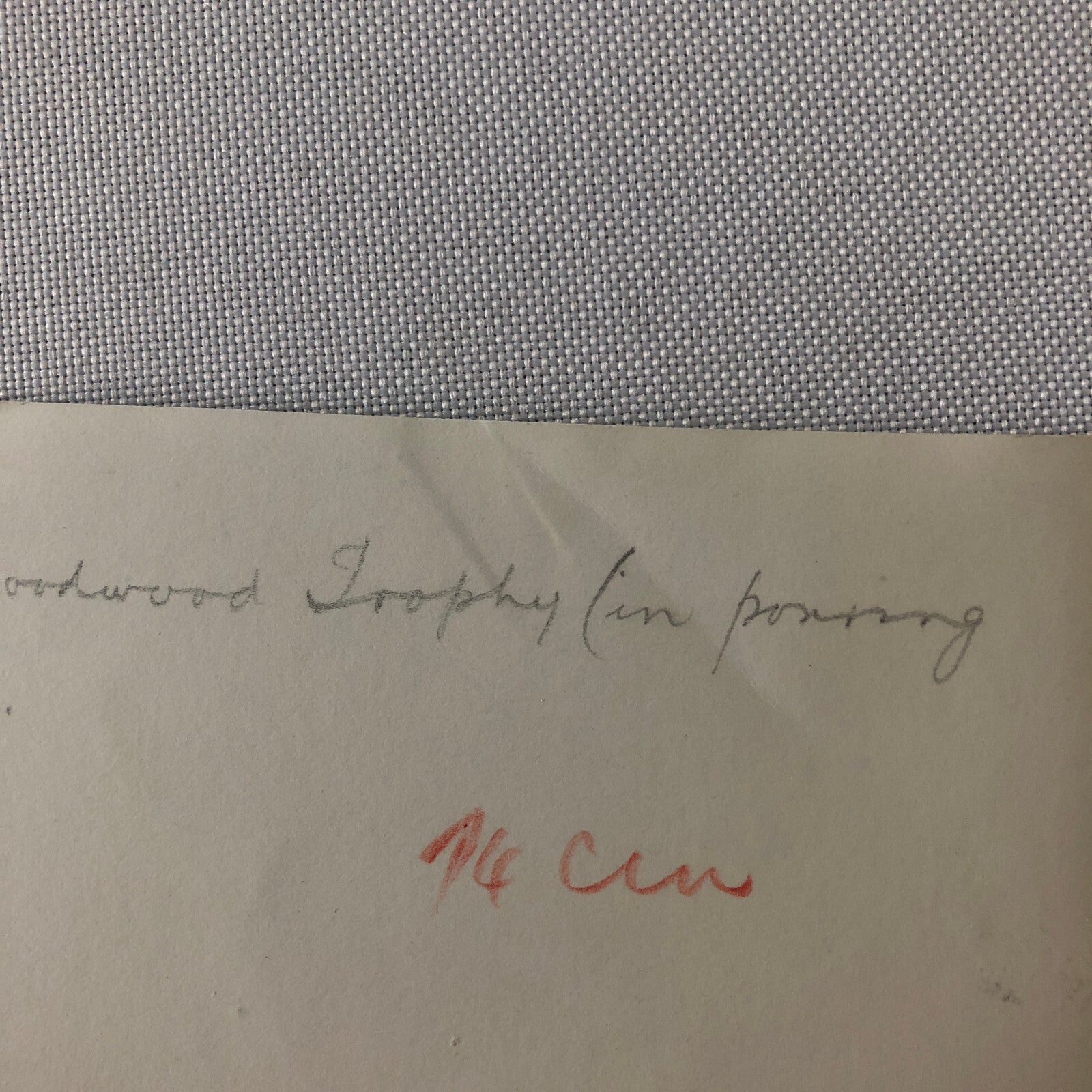 Vintage Racing Photo Photograph BRM Car at Goodwood Trophy Race