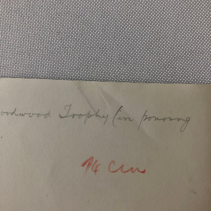 Vintage Racing Photo Photograph BRM Car at Goodwood Trophy Race