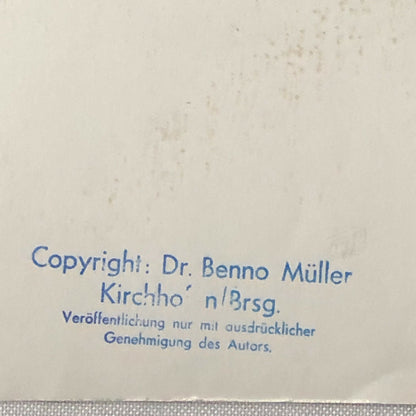 Vintage Racing Photo Photograph Stirling Moss Driver Portrait Dr Benno Muller 