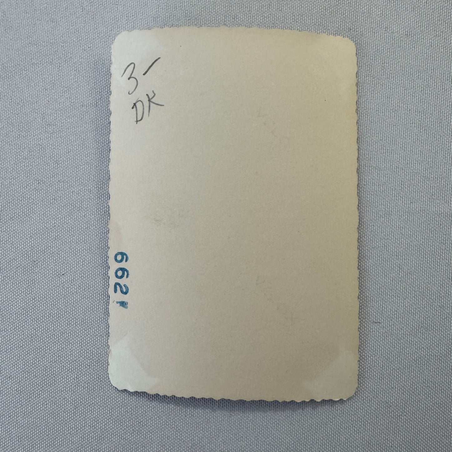 Vintage Dog Automobile Photo Photograph Print Snapshot Early Car