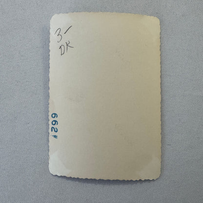 Vintage Dog Automobile Photo Photograph Print Snapshot Early Car