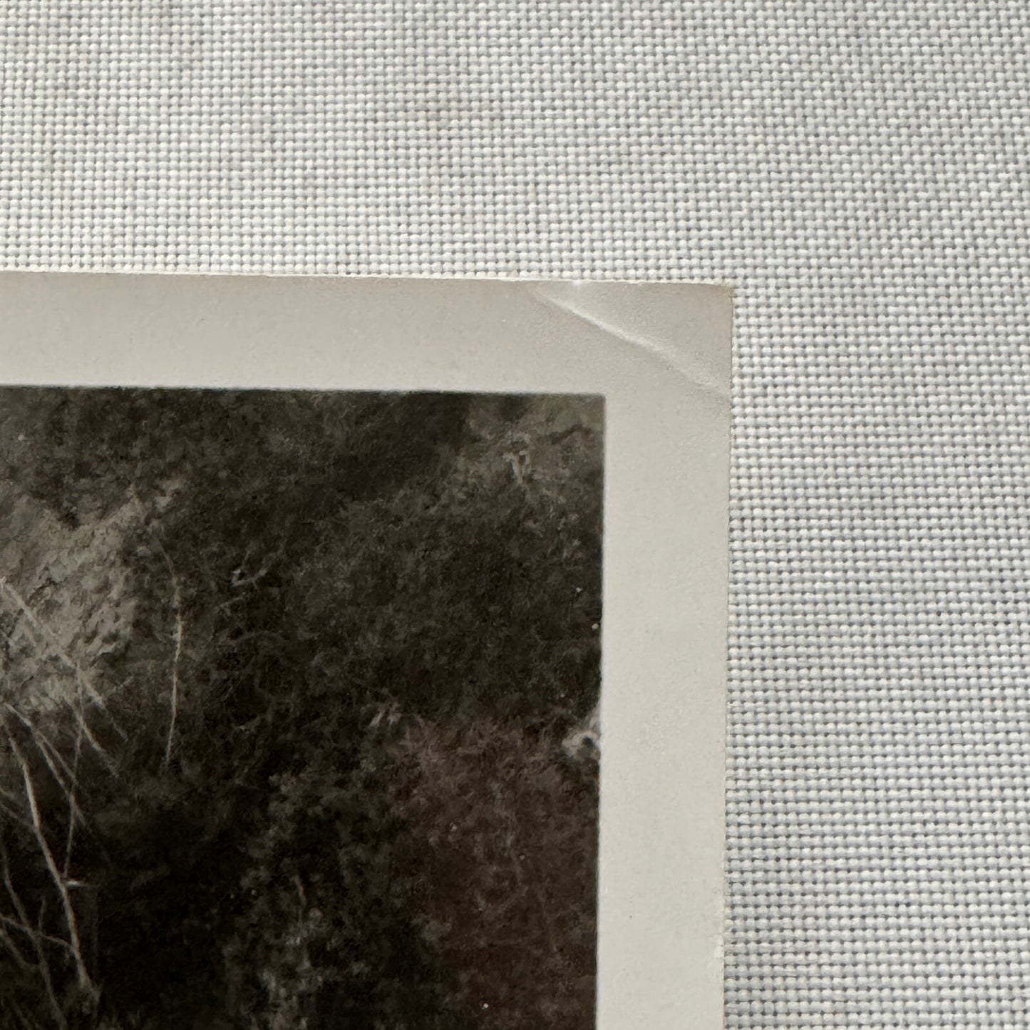 1979 Chevrolet Camaro Berlinetta Factory Press Publicity Photo Photograph Chevy