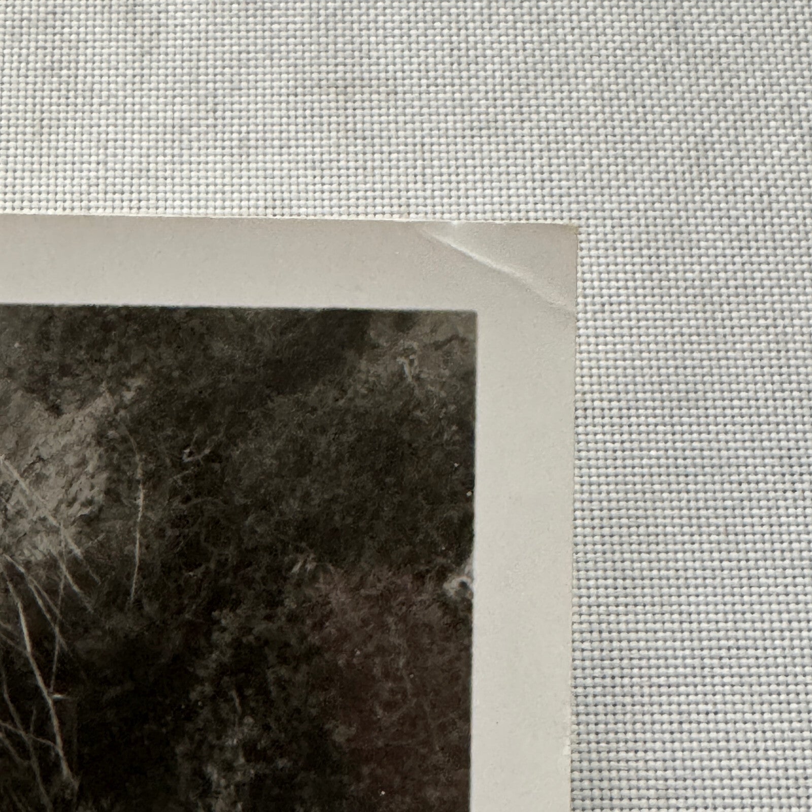 1979 Chevrolet Camaro Berlinetta Factory Press Publicity Photo Photograph Chevy