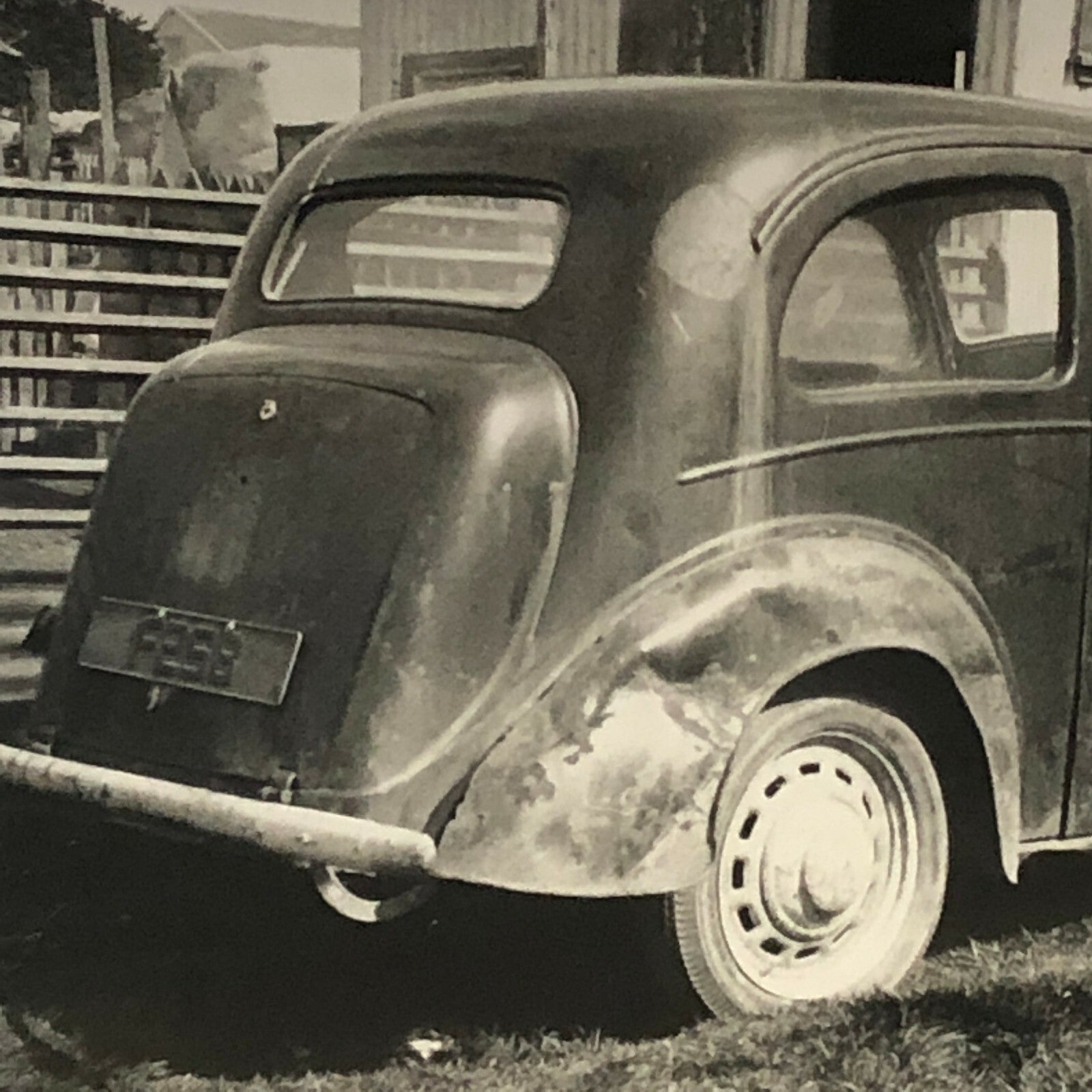 Vintage Car in Weathered Barn Find Condition Photo Photograph Print Junk Yard 