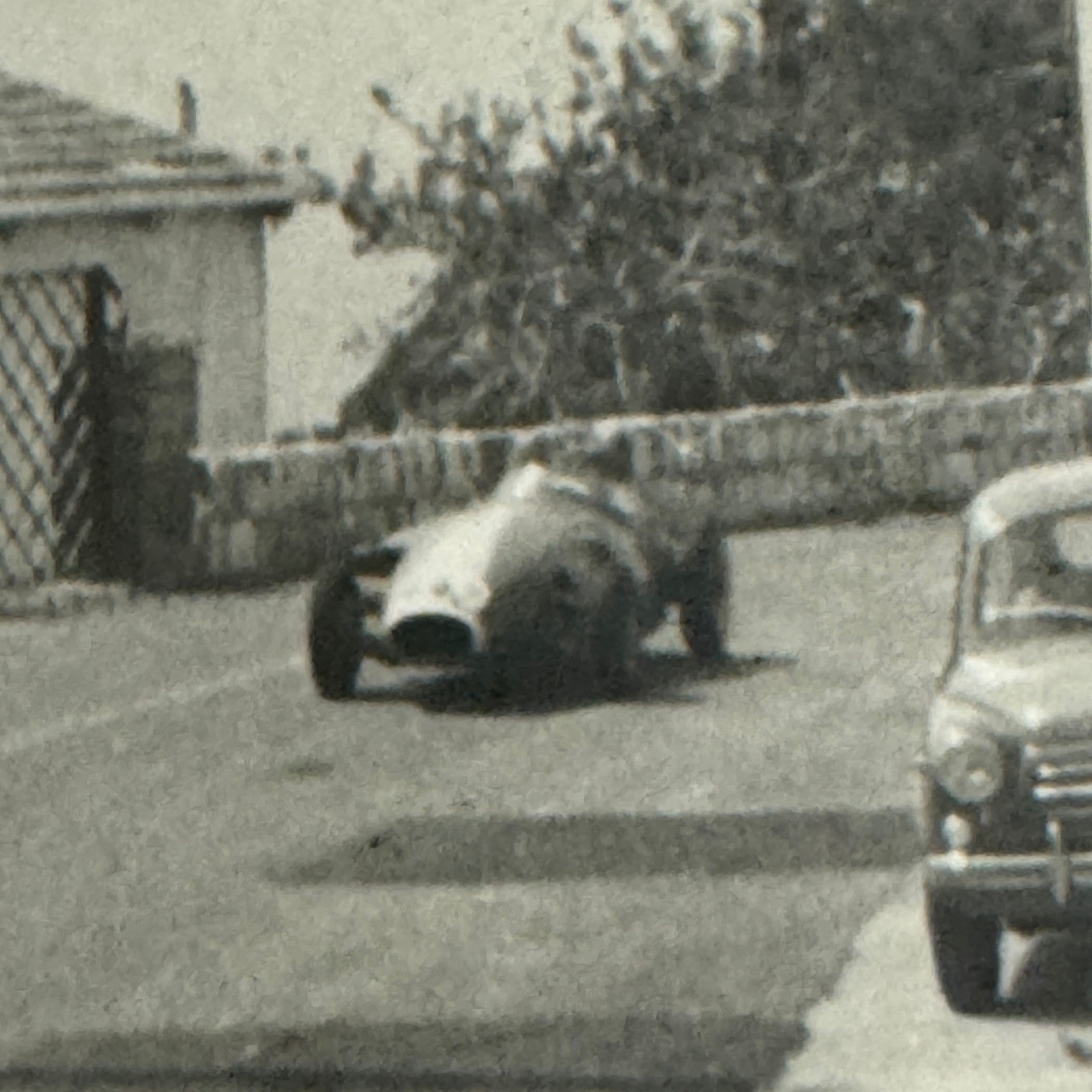 Vintage Racing Car Photo Automobile Motorsport Photograph Print 1966