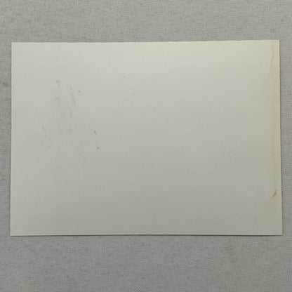 1994 Porsche 911 Carrera Factory Press Photo Photograph German