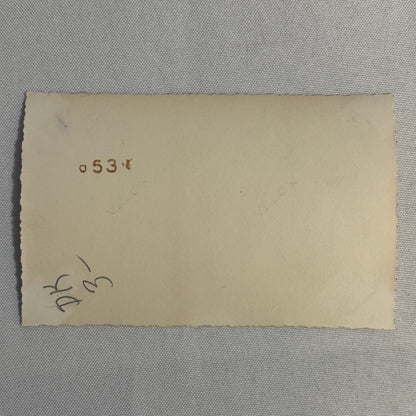 Vintage Automobile Photo Photograph Print Snapshot Car Lot 2x