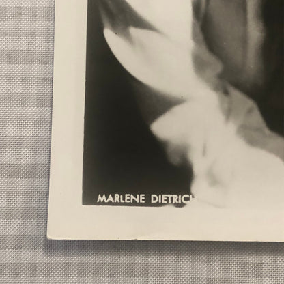 Marlene Dietrich Actress Photo Photograph Print Movie Still