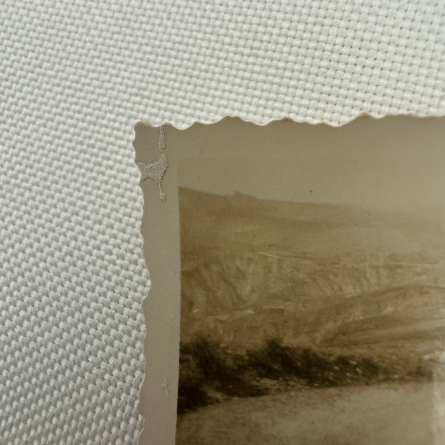 Vintage Racing Car Photo Photograph Early Automobile Motorsport