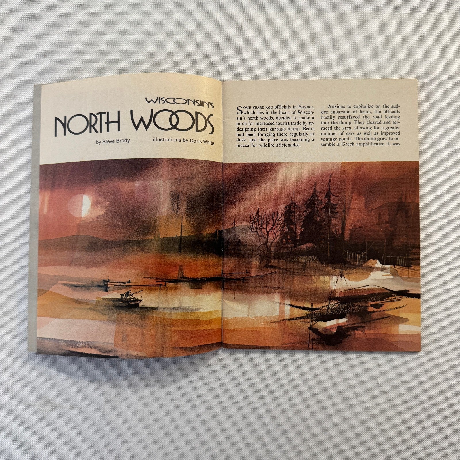 1979 Ford Car Brochure Magazine Ford Pinto LTD Thunderbird Mustang Granada