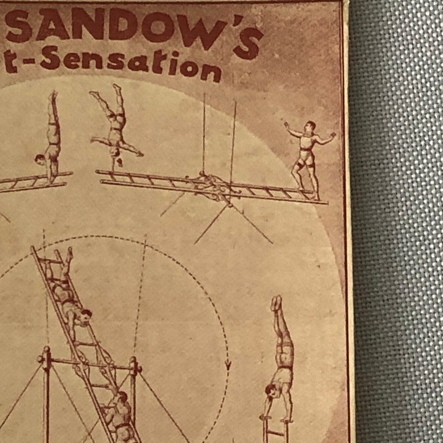 Circus Acrobat Act German Vintage Postcard Post Card The Sandows Luft Sensation