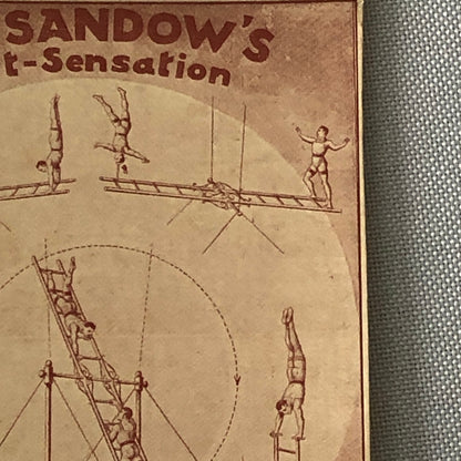 Circus Acrobat Act German Vintage Postcard Post Card The Sandows Luft Sensation