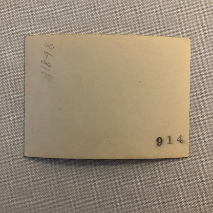 Vintage Snapshot Photo Photograph Print Breese 5 Airplane Aircraft Plane Couple