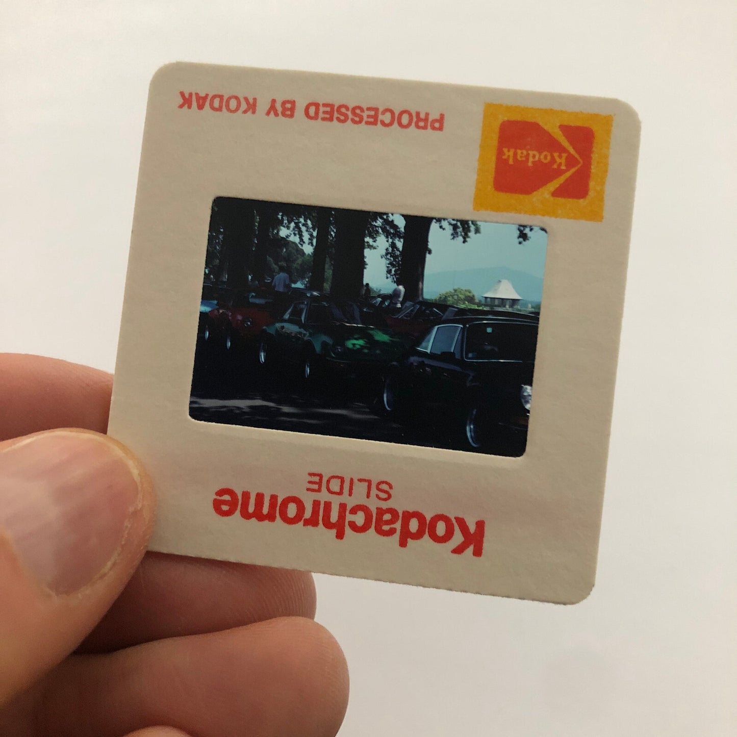 Porsche 911 Car 35mm Photo Slide Vintage 1981