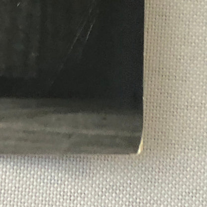 Circus Performer Bicycle Balancing Act 2 Heinkes Vintage Photo Photograph