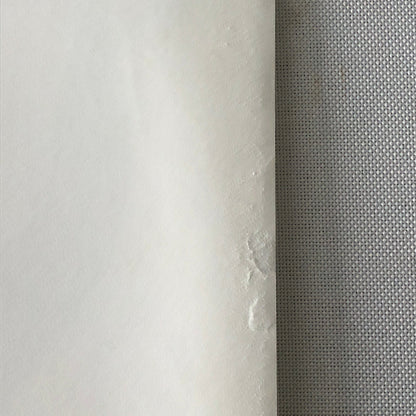 Vintage 1975 Formula 2 F2 Racing Photo Photograph Hockenheim Gerard Larrousse