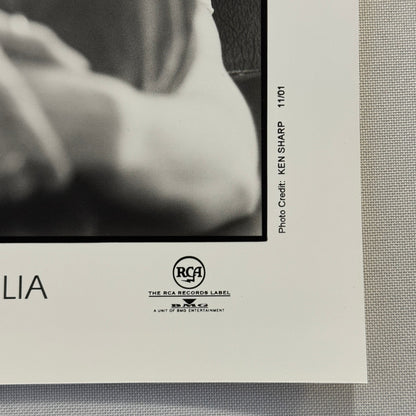 Natalie Imbruglia Music Publicity Press Photo Photograph