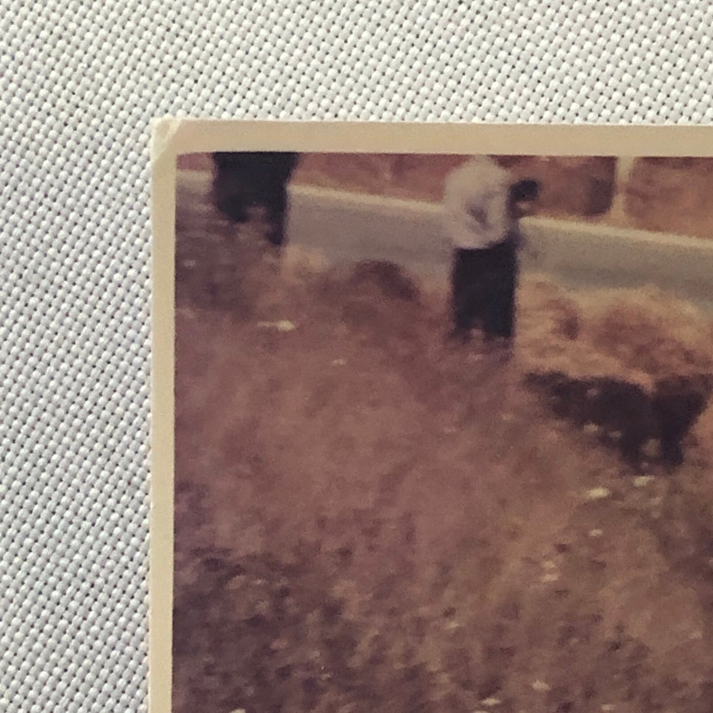 Vintage Motorcycle Sidecar Racing Photo photograph Germany Side Car