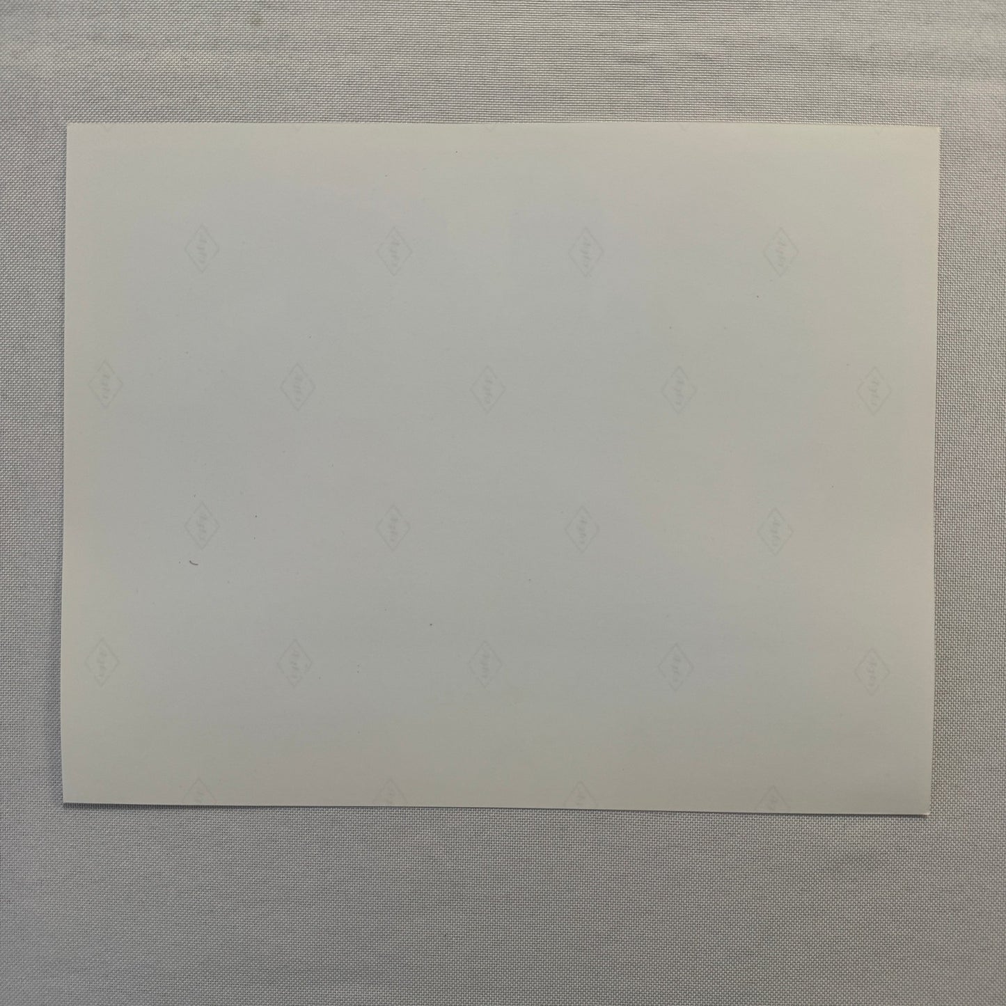 Rodney Dangerfield Ladybugs Movie Press Photo Publicity Photograph 1992