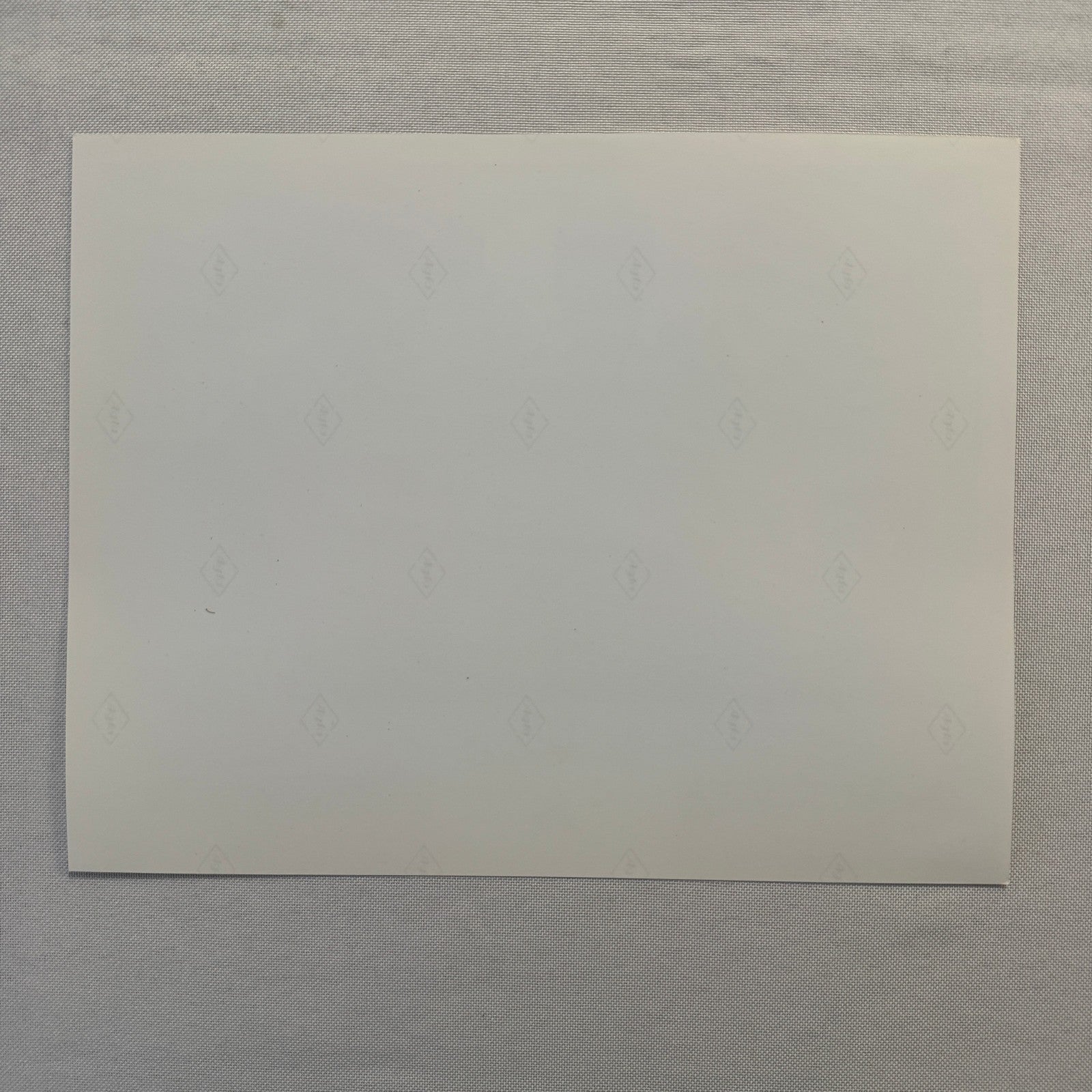 Rodney Dangerfield Ladybugs Movie Press Photo Publicity Photograph 1992