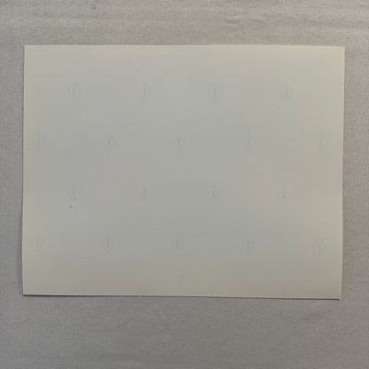 Rodney Dangerfield Ladybugs Movie Press Photo Publicity Photograph 1992