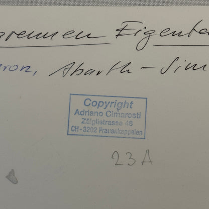 Abarth Simca 1300 Racing Car 1964 Photo Photograph Modern Print