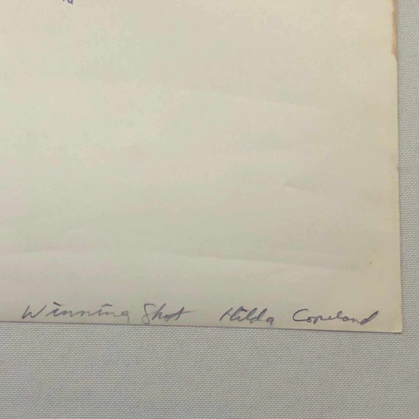 Vintage Horse Racing Photo Photograph TUROFSKY