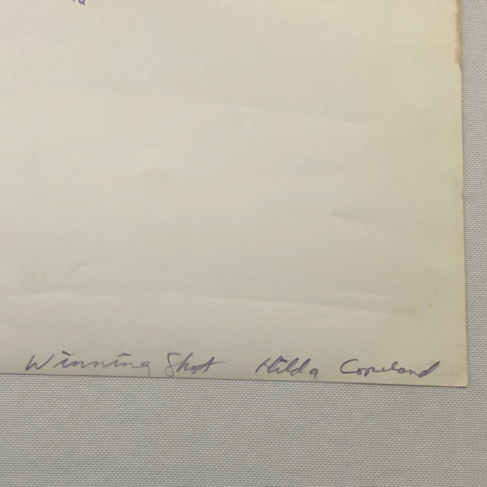 Vintage Horse Racing Photo Photograph TUROFSKY