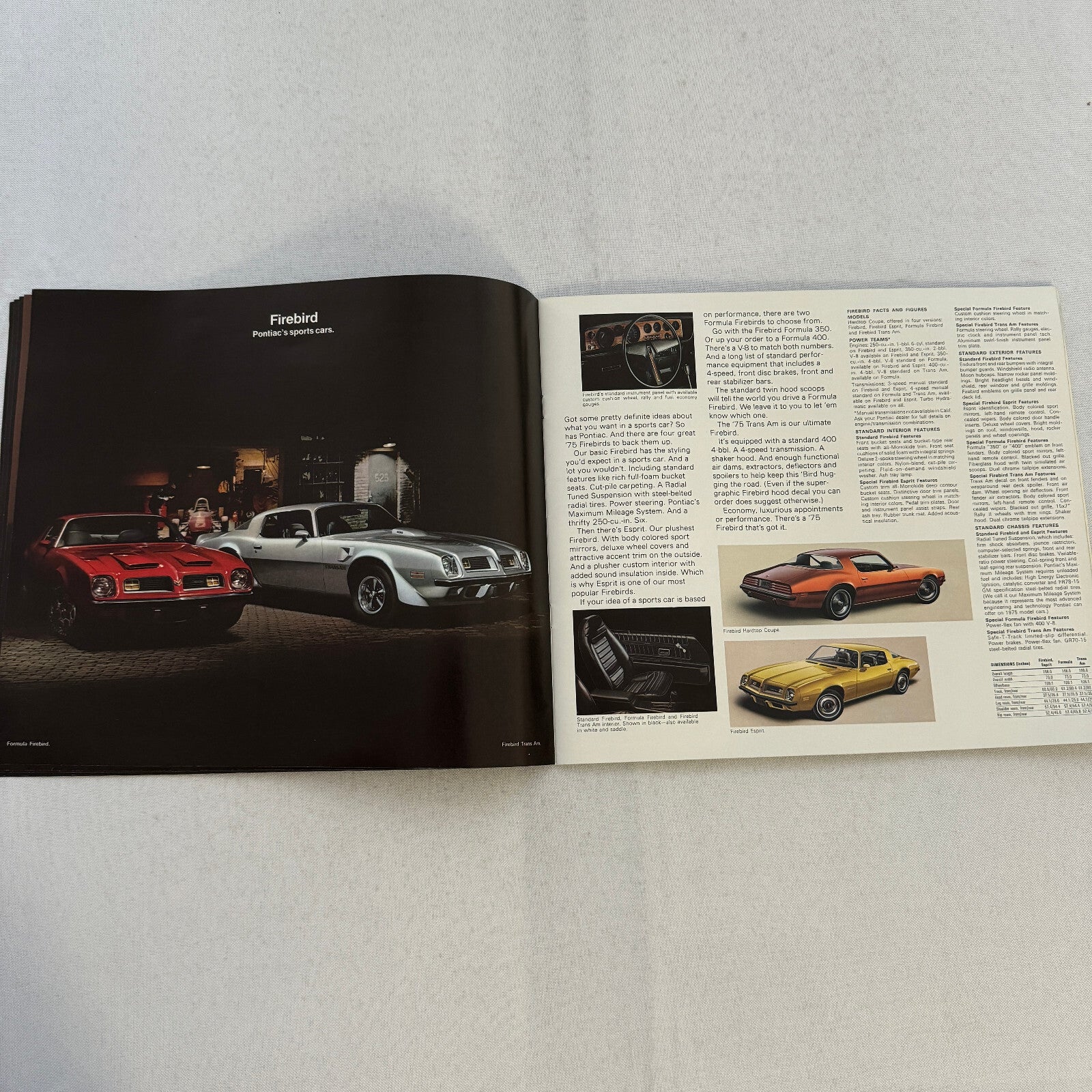 1975 Pontiac Car Sales Brochure Catalog Firebird Grand Am LeMans Grand Ville +