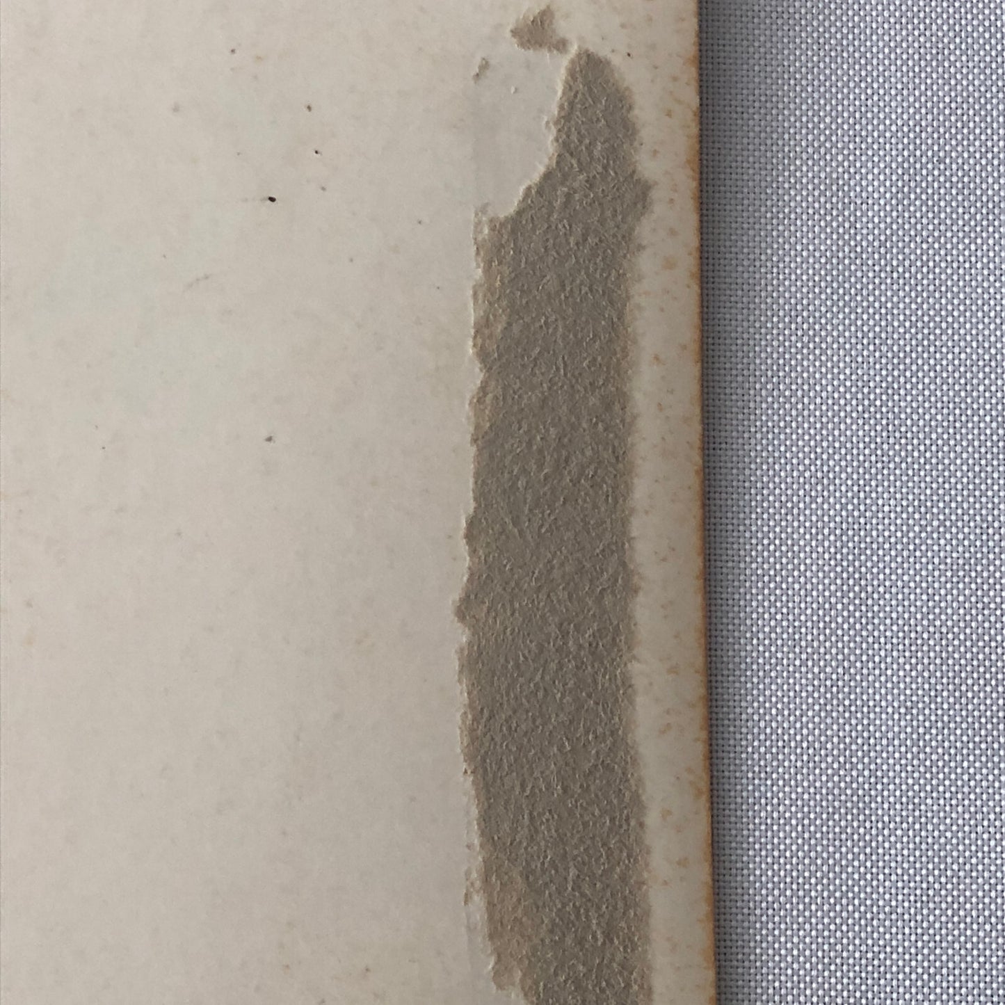 Circus Performers in Costume with Bicycle Vintage Photo Photograph Print