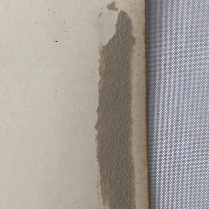 Circus Performers in Costume with Bicycle Vintage Photo Photograph Print