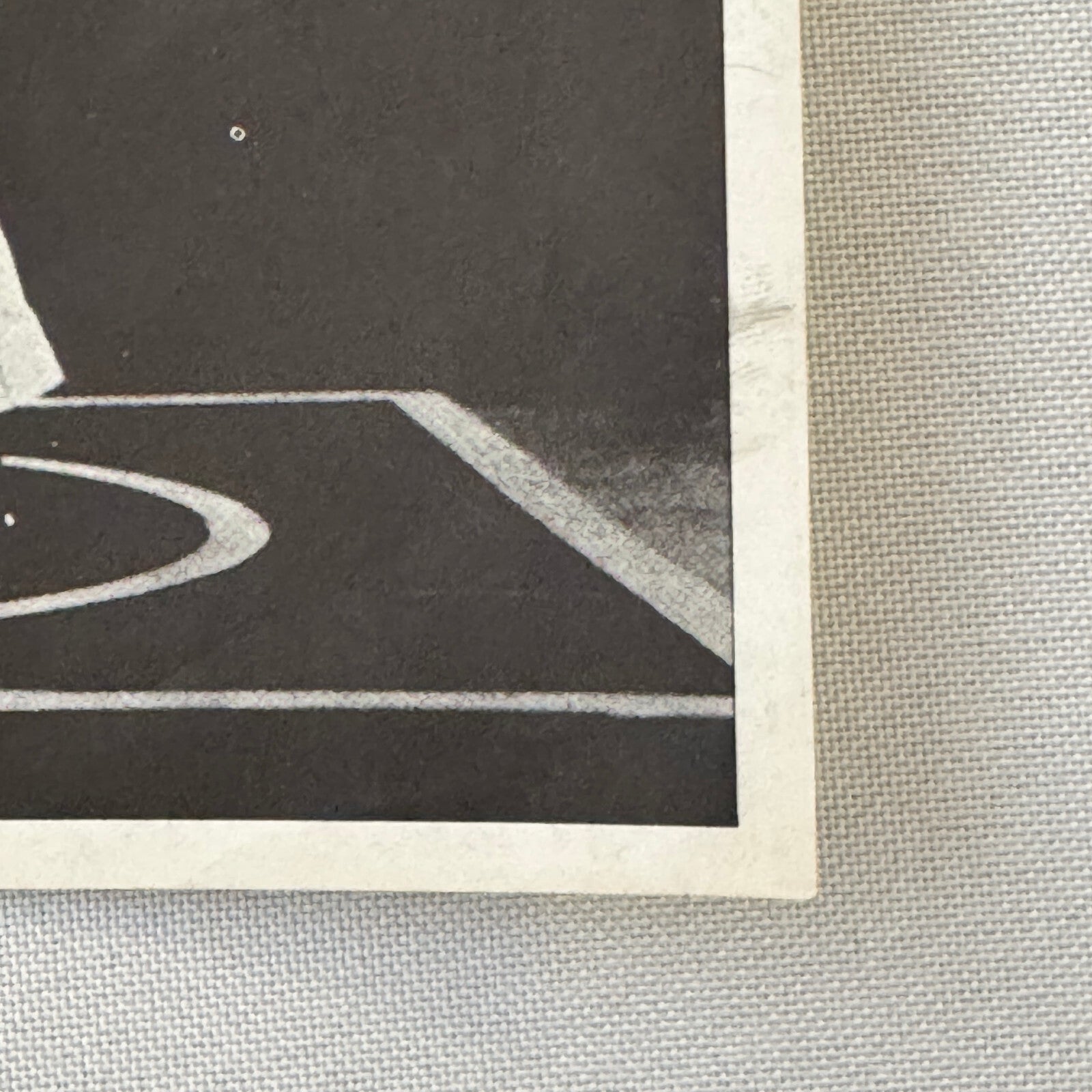 Circus Rollerskating Roller Skate Circus Act Flyer Advertising 2 Donalds