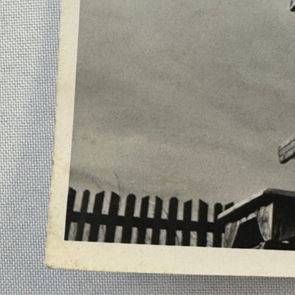 Circus Juggling Balancing Acrobat Act Photo Photograph Vintage Robin Hood
