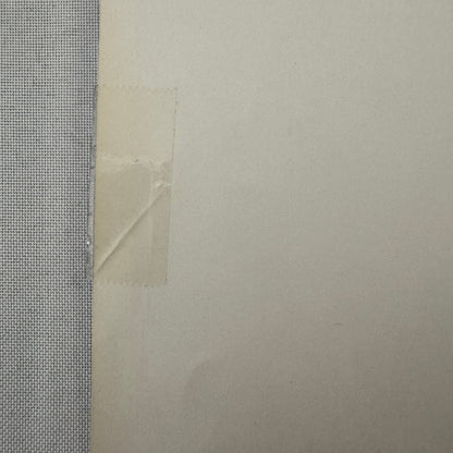 Mille Miglia 1954 Alberto Ascari Lancia D24 Racing Car Photo Photograph