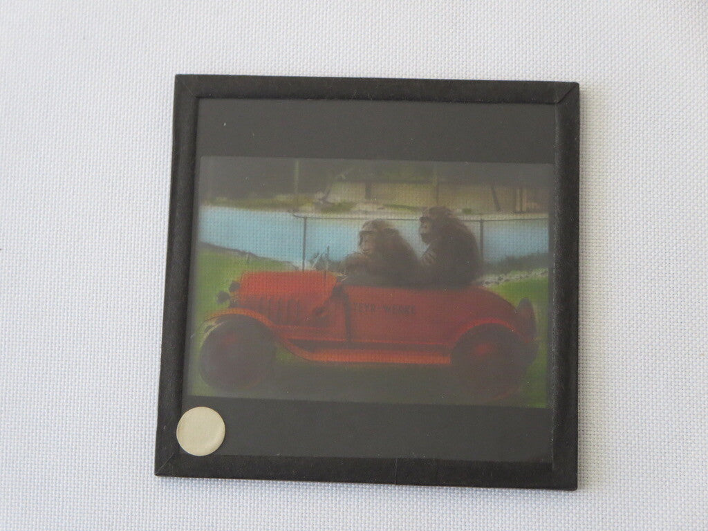 Vintage Glass Advertising Magic Lantern Slide - Steyr Werke Car w/ Monkey Chimp
