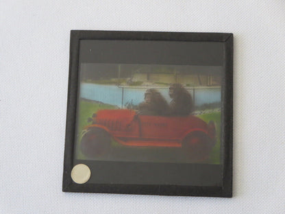 Vintage Glass Advertising Magic Lantern Slide - Steyr Werke Car w/ Monkey Chimp
