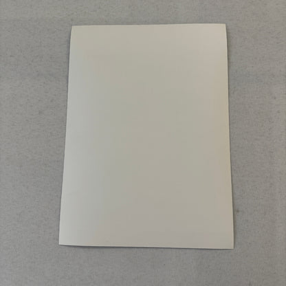 Vintage Porsche Indy Racing Engine Factory Press Photo Photograph