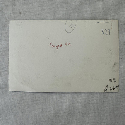 1895 Peugeot Car Automobile Photo Photograph Vintage Image Modern Print