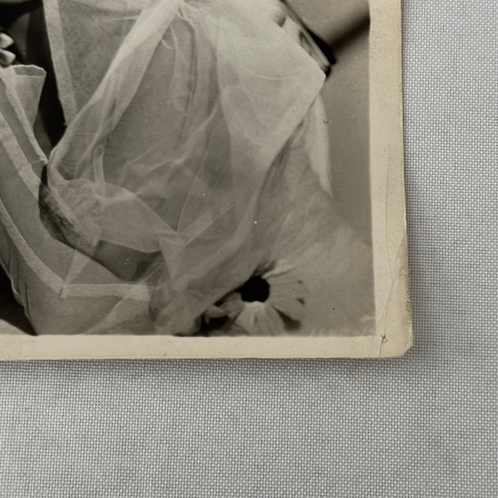 Vintage Movie Still Photo Photograph Print Fred MacMurray Actress Beautiful