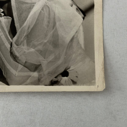 Vintage Movie Still Photo Photograph Print Fred MacMurray Actress Beautiful