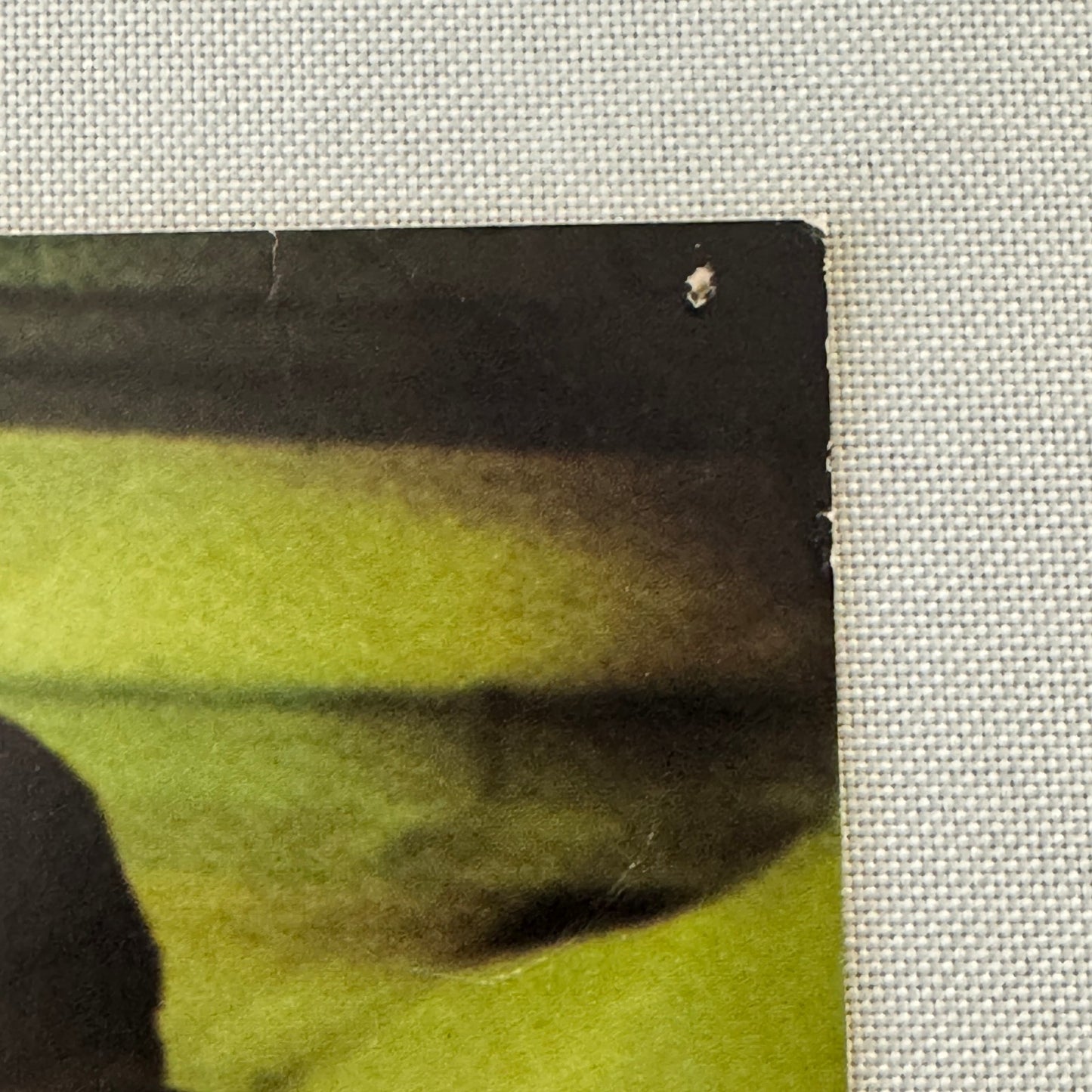 Vintage Movie Lobby Card Alfred Hitchcock Family Plot La Trama Spanish