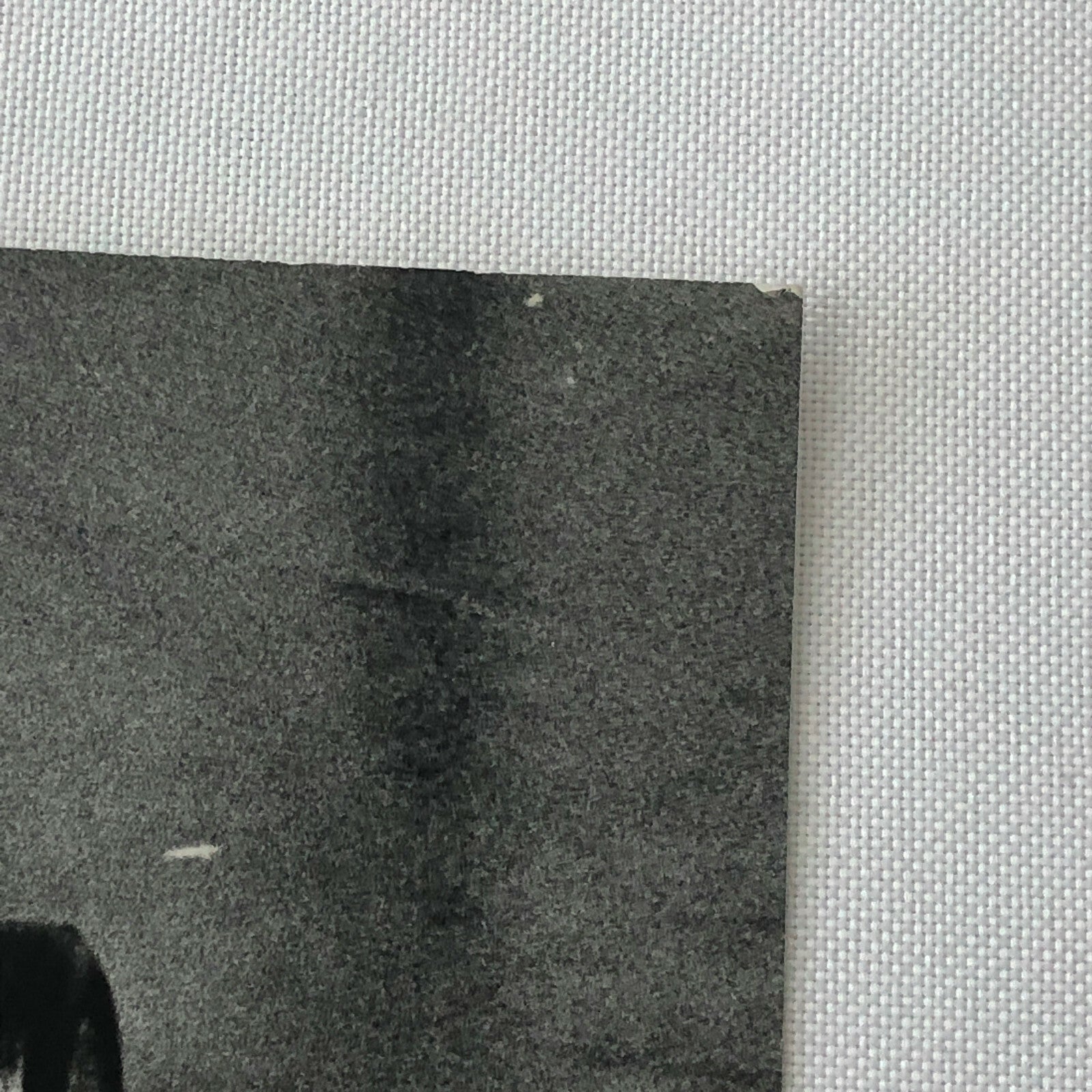 1962 Stirling Moss Lotus Climax Racing Car Photo Photograph 