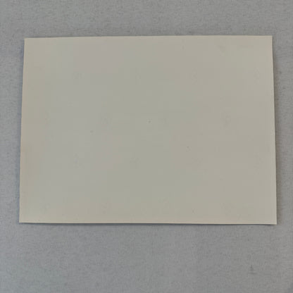 Porsche Rothmans Racing Car Photo Photograph Print 962 Groupe C