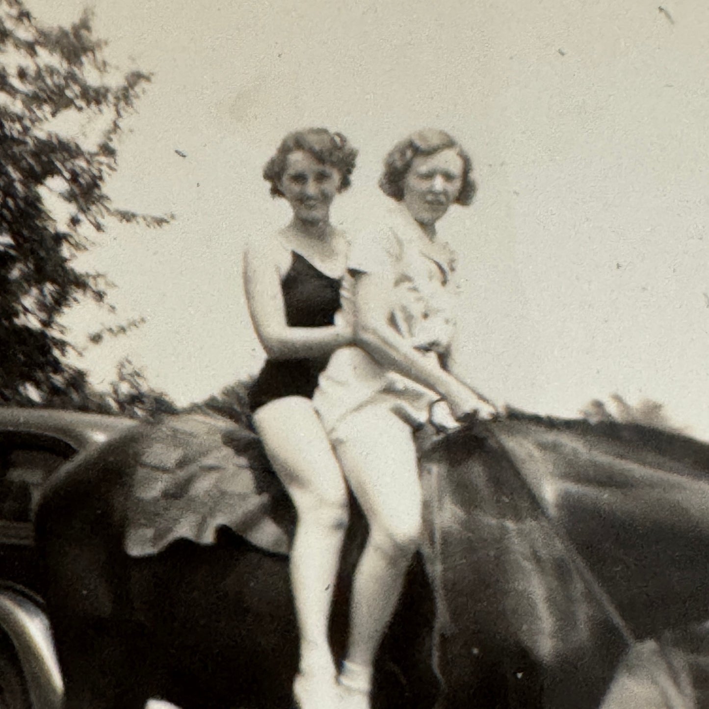 Vintage Car Horse Photo Women Photograph Snapshot Print