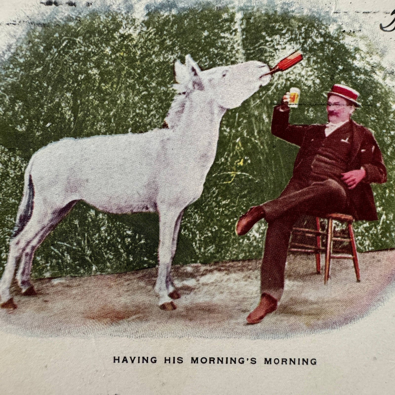 Vintage Postcard Man and Horse Drinking Beer Posted Postmark 1905 1906