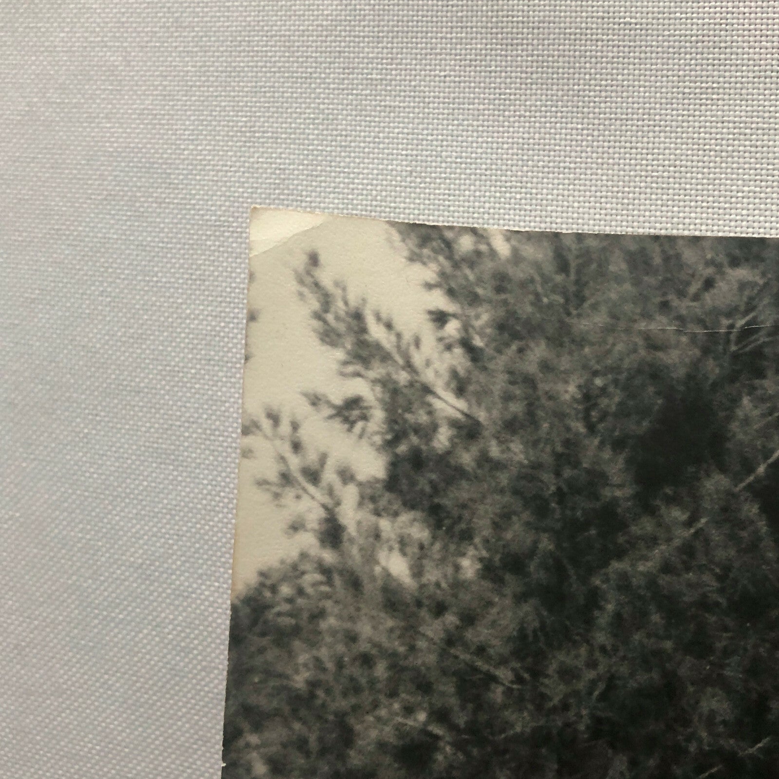 Vintage Grand Prix Racing Photo Photograph - Jo Siffert - Bernard Cahier 