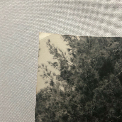 Vintage Grand Prix Racing Photo Photograph - Jo Siffert - Bernard Cahier 