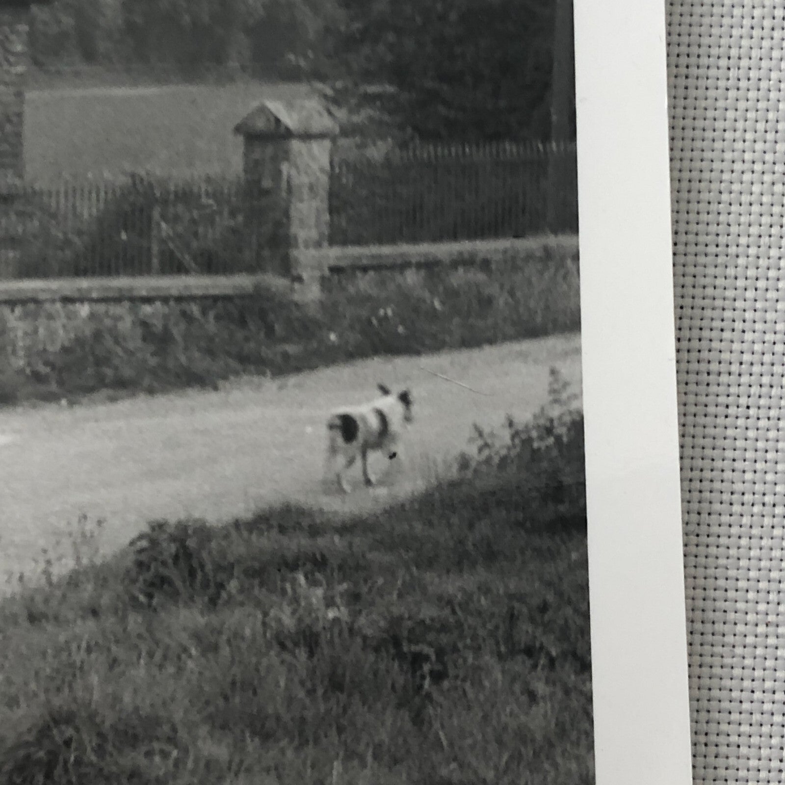 Vintage Car Automobile Outside Estate Home Photo Photograph Print - Lagonda ? 